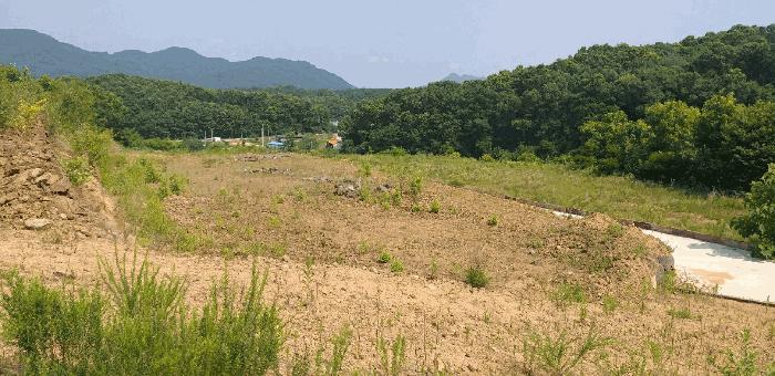 2025타경88 법원경매 사진6 | 충북 옥천군 임야 경매