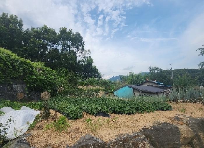 2025타경88 법원경매 사진9 | 충북 옥천군 임야 경매