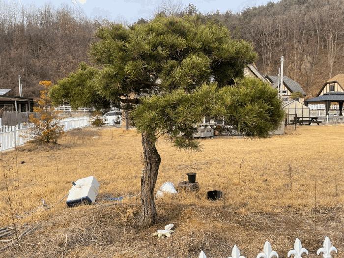 2025타경10101 법원경매 사진4 | 충북 영동군 주택건물 경매