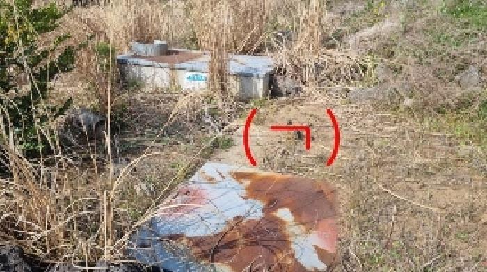 2025타경7753 법원경매 사진13 | 제주 서귀포시 창고 경매