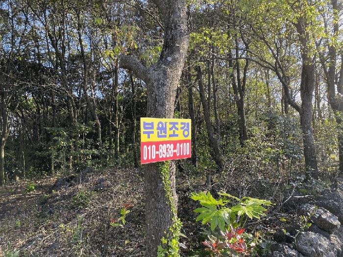 2025타경7931 법원경매 사진3 | 제주 서귀포시 임야 경매