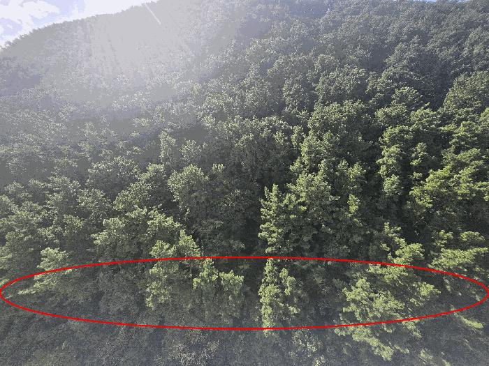 부산광역시 사하구 하단동 298-3 법원경매 물건 대표사진