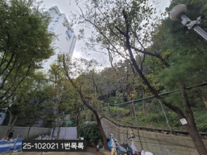 법원경매 2025타경102021 사진5 | 부산 사하구 하단동 298-3 임야 경매