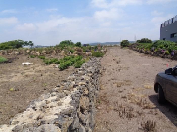 2025타경8286 법원경매 사진20 | 제주 제주시 전답 경매