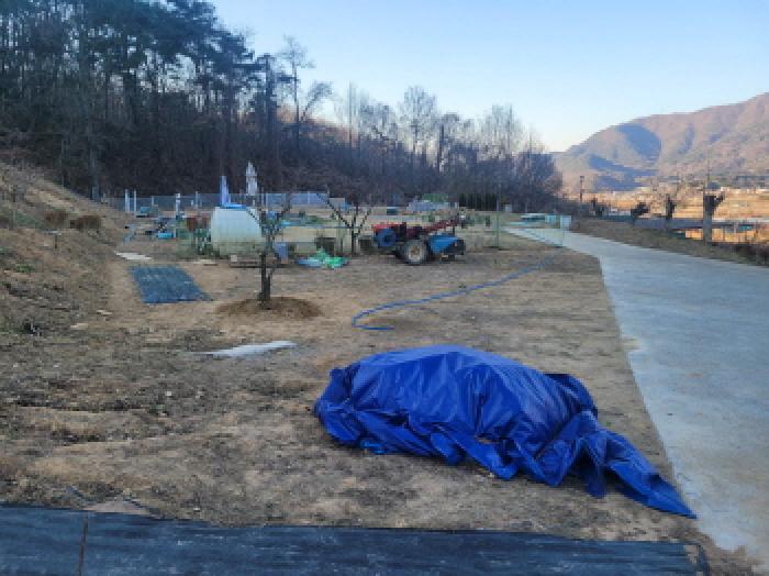 법원경매 2025타경32121 사진4 | 대구 달성군 가창면 단산리 738 과수원 경매