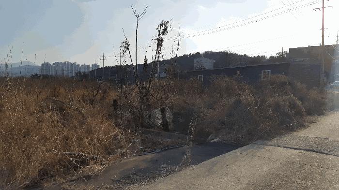 2025타경32247 법원경매 사진2 | 대구 달성군 전답 경매