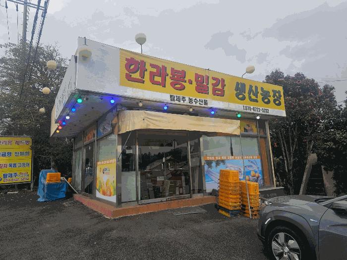 제주 서귀포시 서호동 15-1 근린주택 사진 3