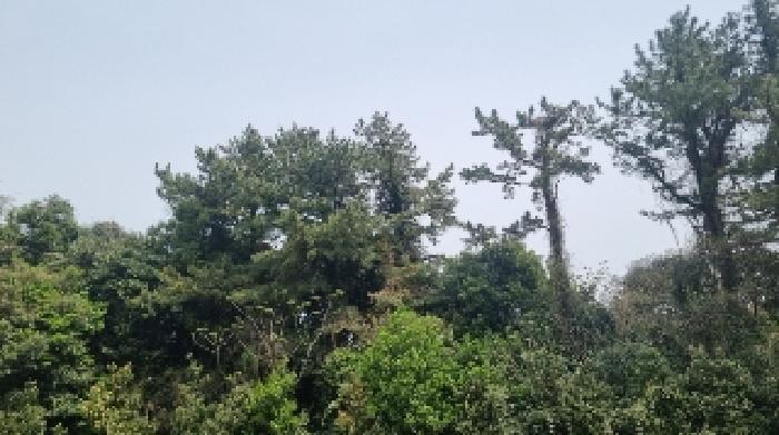 2025타경7828 법원경매 사진7 | 제주 서귀포시 임야 경매