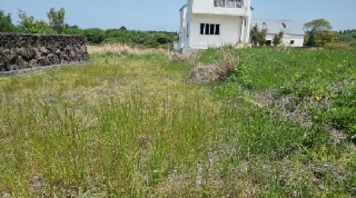 2025타경7837 법원경매 사진9 | 제주 제주시 임야 경매