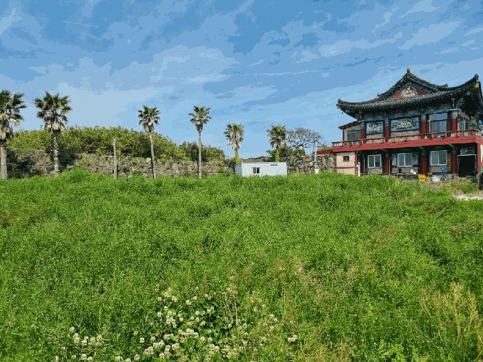 2025타경7854 법원경매 사진3 | 제주 서귀포시 전답 경매