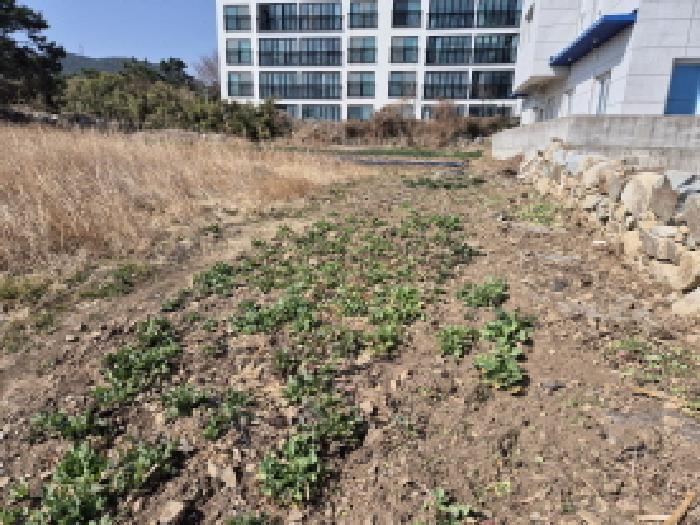 2025타경930 법원경매 사진20 | 울산 동구 전 경매