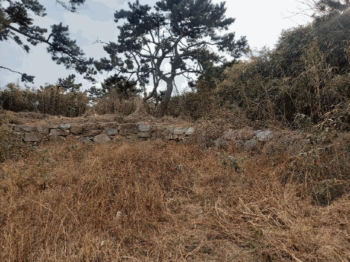 2025타경930 법원경매 사진3 | 울산 동구 전 경매
