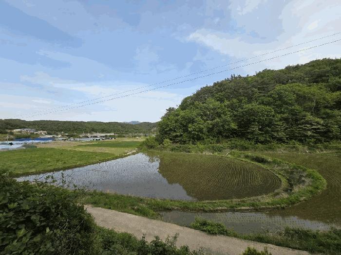 울산광역시 울주군 두서면 미호리 209 법원경매 물건 대표사진