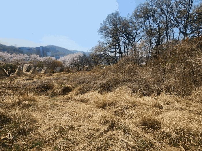 2025타경2699 법원경매 사진6 | 대전 유성구 전 경매