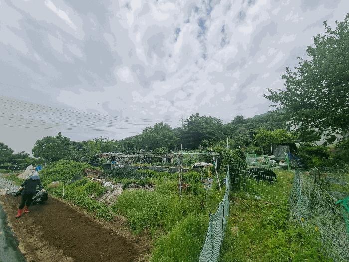 경기도 남양주시 와부읍 팔당리 산45 법원경매 물건 대표사진