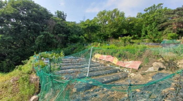 법원경매 2025타경1297 사진3 | 남양주시 와부읍 팔당리 임야 경매