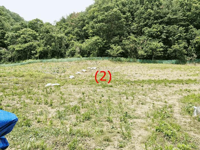 법원경매 2025타경1754 사진8 | 가평군 가평읍 이화리 577 전 경매