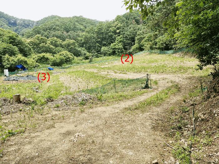 법원경매 2025타경1754 사진5 | 가평군 가평읍 이화리 589 답 경매