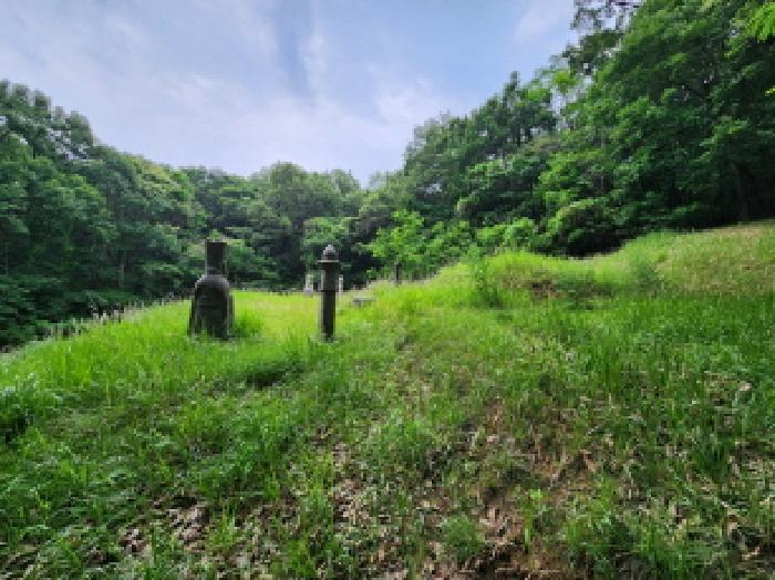 법원경매 2025타경1846 사진28 | 구리시 아천동 임야 경매