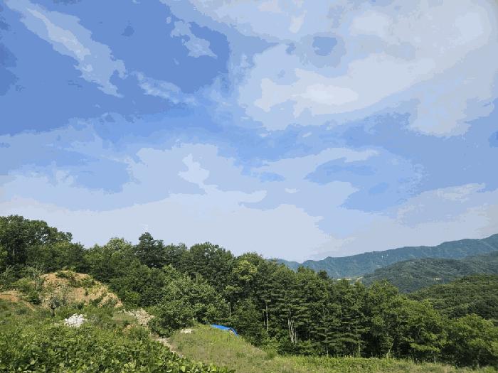 경기도 가평군 청평면 고성리 산87 법원경매 물건 대표사진