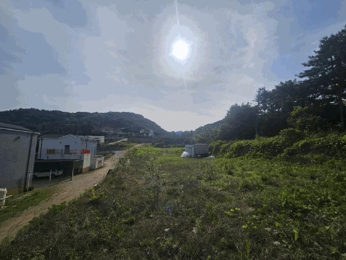 법원경매 2025타경71682 사진2 | 가평군 청평면 고성리 임야 경매