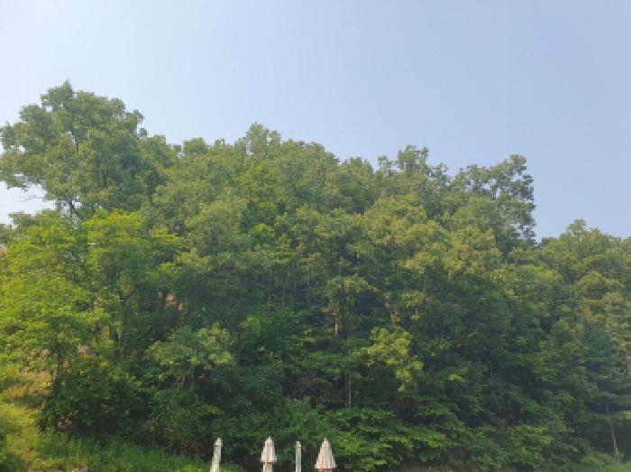 법원경매 2025타경71682 사진8 | 가평군 청평면 고성리 임야 경매