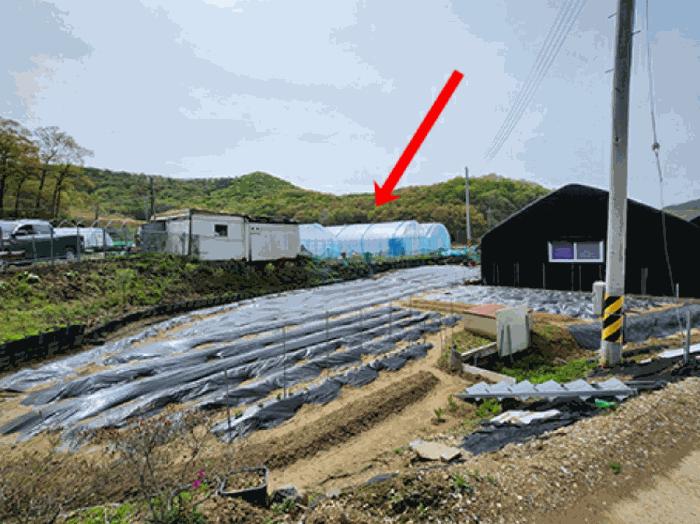 법원경매 2025타경52107 사진3 | 안산시 상록구 양상동 28-1 전답 경매