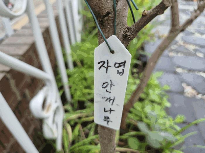 법원경매 2025타경52554 사진7 | 광명시 소하동 1396-5 주택건물 경매