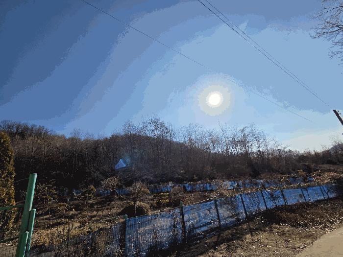 충청북도 보은군 보은읍 풍취리 산11-25 법원경매 물건 대표사진