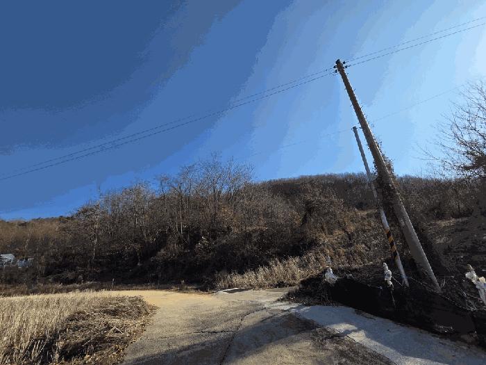 2025타경5622 법원경매 사진5 | 충북 보은군 임야 경매