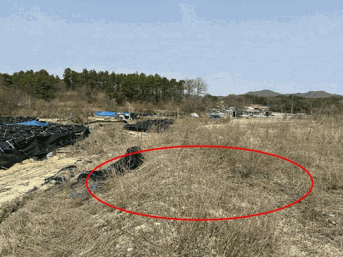 2025타경2019 법원경매 사진13 | 충남 금산군 임야 경매
