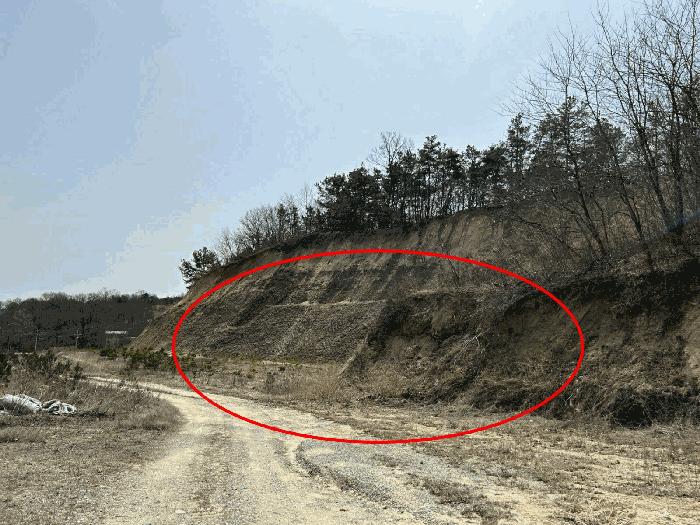 2025타경2019 법원경매 사진14 | 충남 금산군 임야 경매