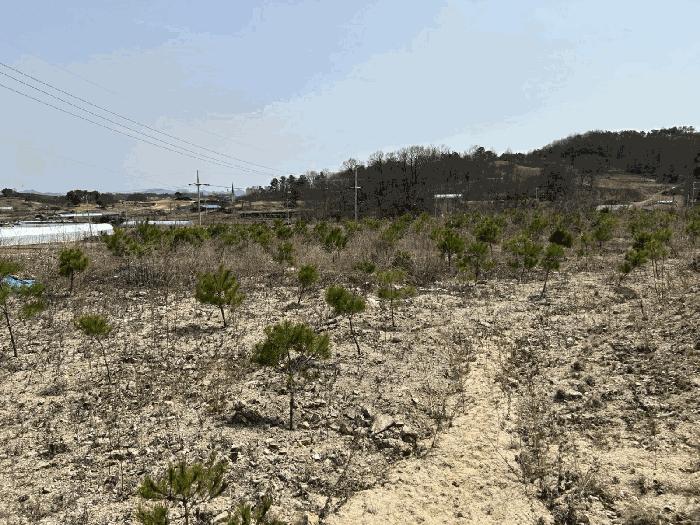 2025타경2019 법원경매 사진21 | 충남 금산군 임야 경매