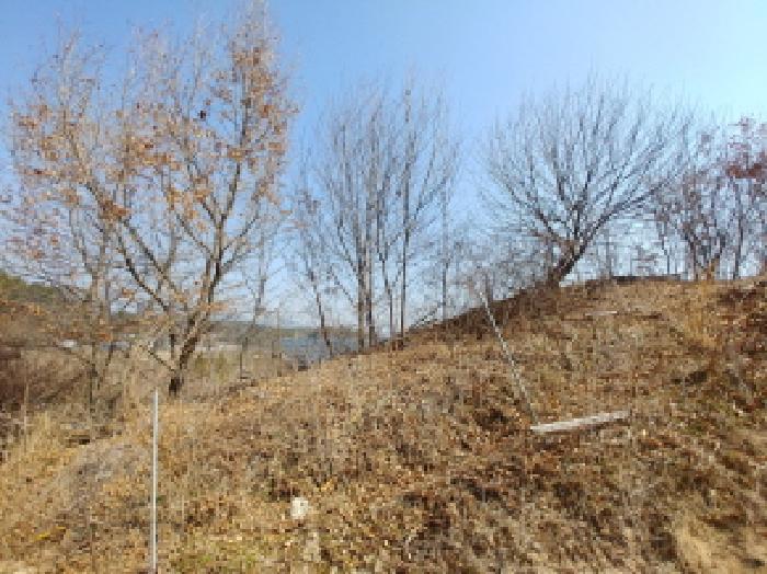 2025타경2019 법원경매 사진46 | 충남 금산군 임야 경매