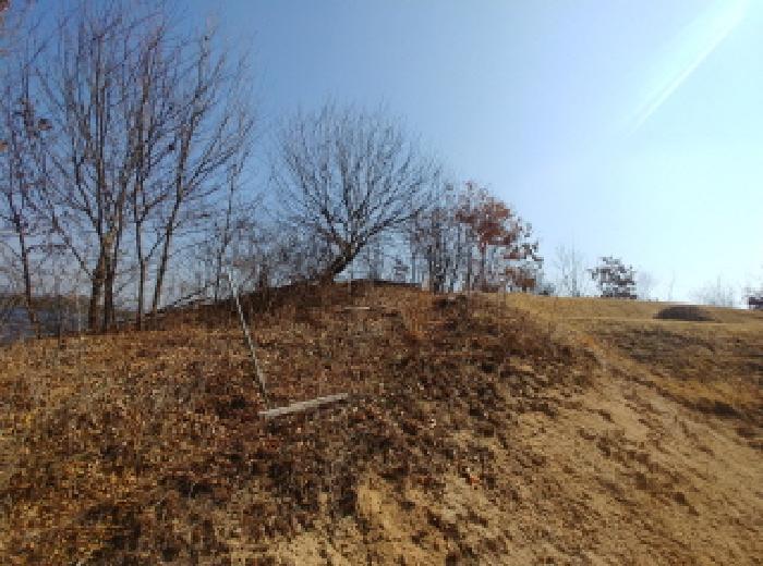 2025타경2019 법원경매 사진47 | 충남 금산군 임야 경매