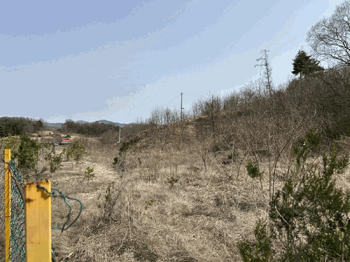 2025타경2019 법원경매 사진5 | 충남 금산군 임야 경매
