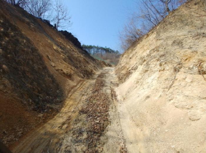 2025타경2019 법원경매 사진52 | 충남 금산군 임야 경매