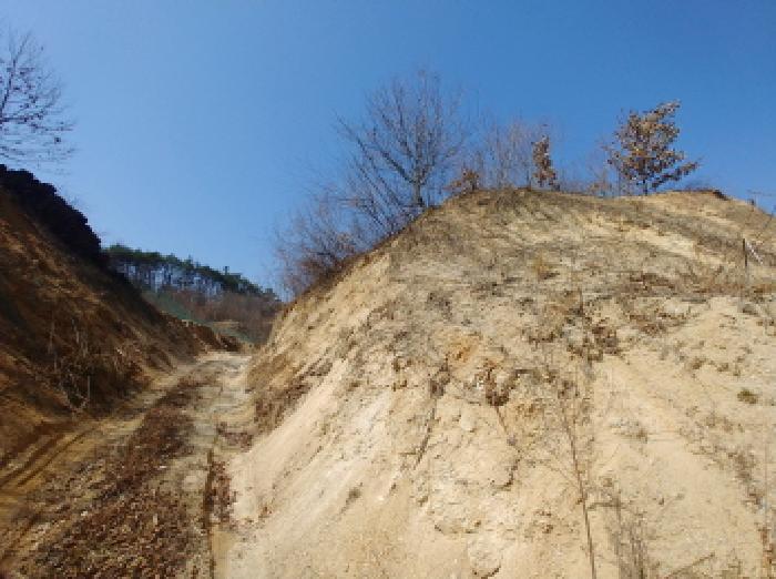 2025타경2019 법원경매 사진53 | 충남 금산군 임야 경매
