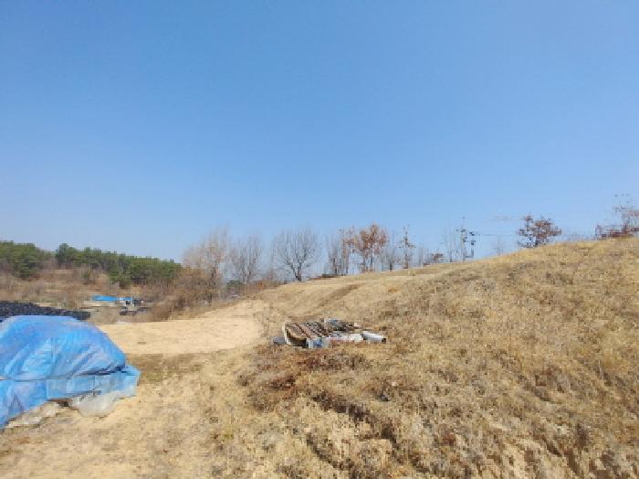 2025타경2019 법원경매 사진56 | 충남 금산군 임야 경매