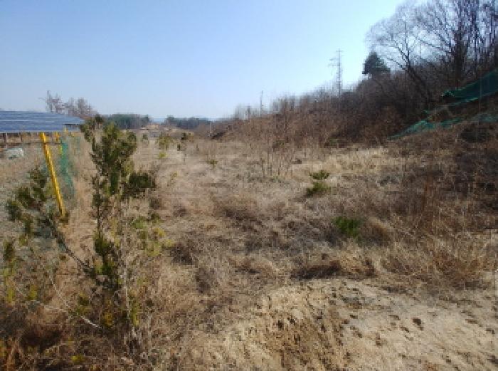 2025타경2019 법원경매 사진59 | 충남 금산군 임야 경매