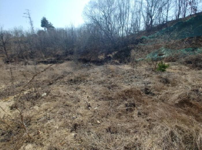 2025타경2019 법원경매 사진62 | 충남 금산군 임야 경매