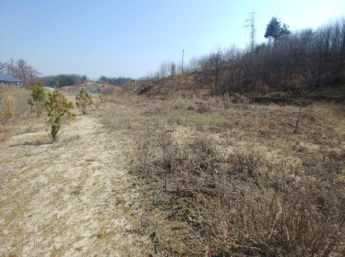2025타경2019 법원경매 사진64 | 충남 금산군 임야 경매