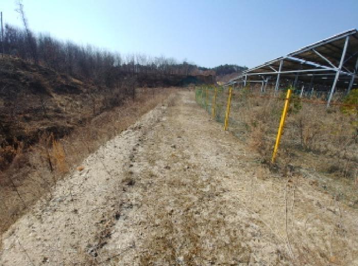 2025타경2019 법원경매 사진67 | 충남 금산군 임야 경매