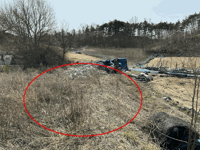 2025타경2019 법원경매 사진8 | 충남 금산군 임야 경매