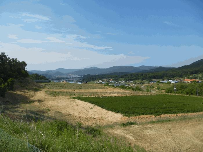 충청북도 청주시 상당구 가덕면 수곡리 산52-5 법원경매 물건 대표사진