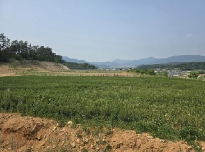 2025타경51229 법원경매 사진10 | 청주 상당구 임야 경매