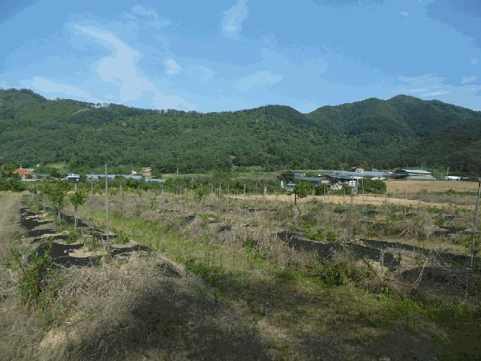 2025타경51229 법원경매 사진3 | 청주 상당구 임야 경매