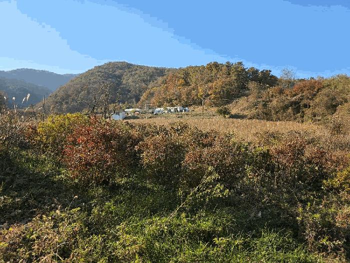 2025타경51967 법원경매 사진10 | 충북 괴산군 도로 경매