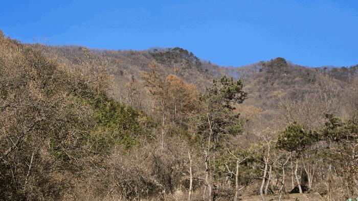 2025타경52011 법원경매 사진2 | 충북 보은군 임야 경매