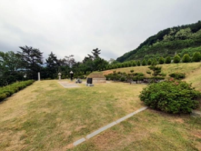 2025타경11413 법원경매 사진19 | 경남 김해시 임야 경매